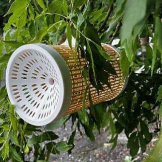 Gard'Apis Sentinel — Complete Hornet Trap Kit